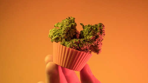 ,Cake Strains