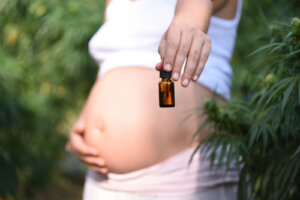 Can CBD Use During Pregnancy Cause Complications? Can CBD Use During Pregnancy Cause Complications?