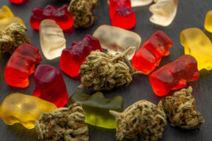 Edibles in Texas: Everything You Need to Know Edibles in Texas: Everything You Need to Know