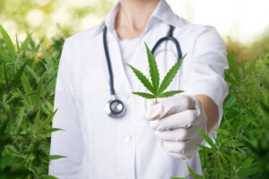 What’s the Difference Between a Medical Marijuana Prescription and a Medical Marijuana Recommendation What’s the Difference Between a Medical Marijuana Prescription and a Medical Marijuana Recommendation